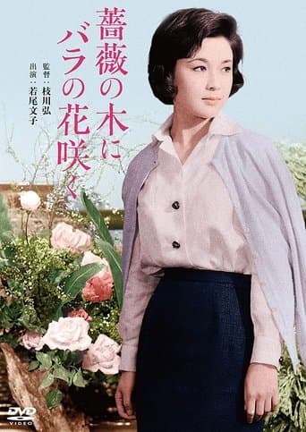 Roses Bloom on a Rose Tree poster - Find streaming availability