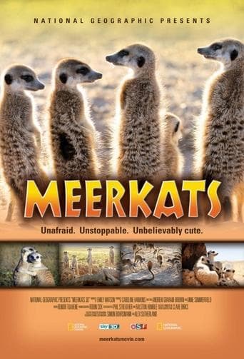 Meerkats 3D poster - Find streaming availability
