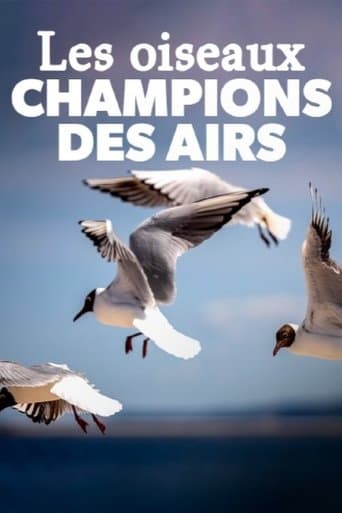 Birds poster - Find streaming availability