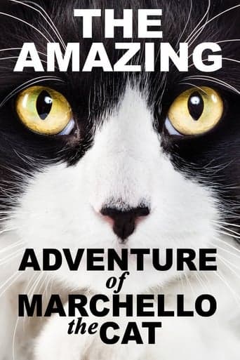 Cats: The Movie! poster - Find streaming availability