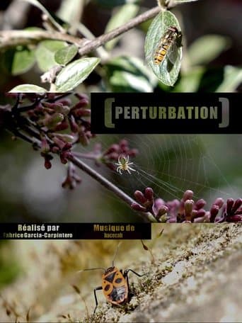Perturbation poster - Find streaming availability