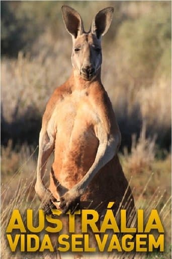 Australian Wildlife poster - Find streaming availability