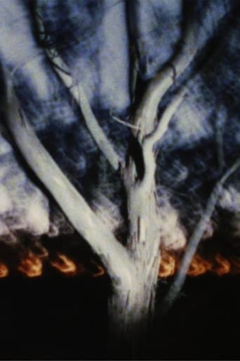 The Land at Night poster - Find streaming availability