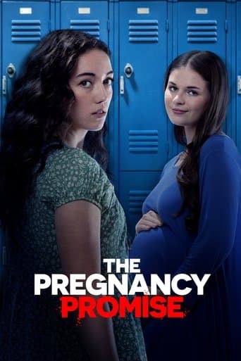 The Pregnancy Promise poster - Find streaming availability