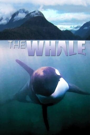 The Whale poster - Find streaming availability