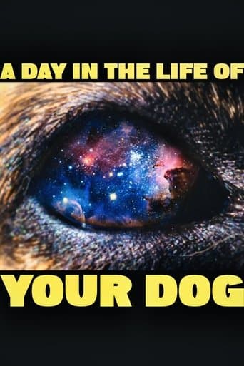 A Day In The Life Of Your Dog poster - Find streaming availability