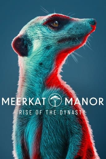 Meerkat Manor: Rise of the Dynasty poster - Find streaming availability