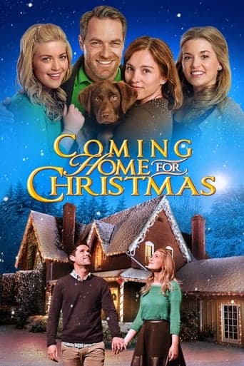 Coming Home for Christmas poster - Find streaming availability