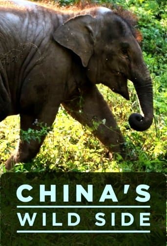 China's Wild Side poster - Find streaming availability