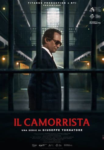 Il camorrista - Una serie di Giuseppe Tornatore poster - Find streaming availability