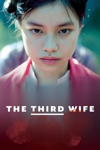 The Third Wife poster - Find streaming availability