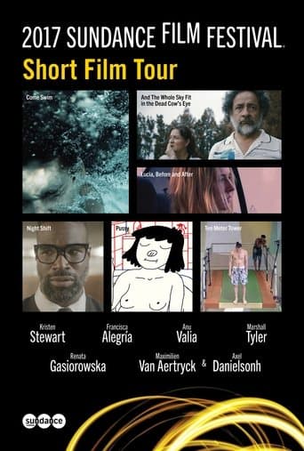 2017 Sundance Film Festival Short Film Tour poster - Find streaming availability
