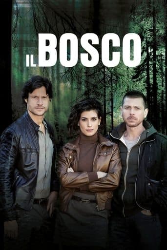 Il Bosco poster - Find streaming availability