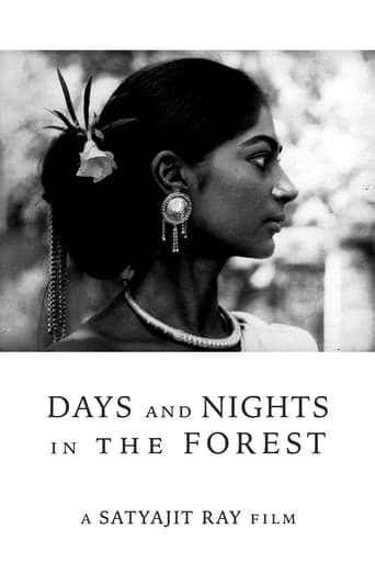 Days and Nights in the Forest poster - Find streaming availability