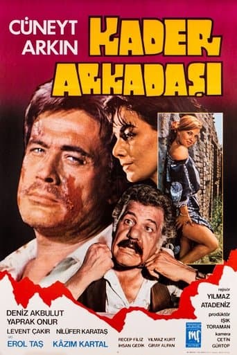 Kader Arkadaşı poster - Find streaming availability