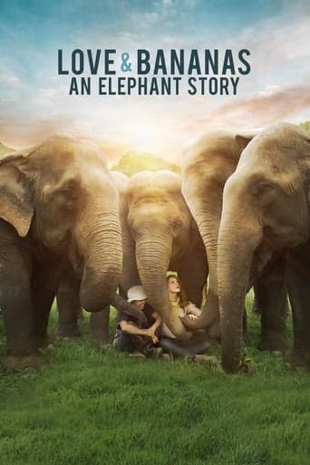 Love & Bananas: An Elephant Story poster - Find streaming availability