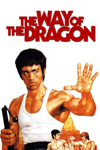 The Way of the Dragon poster - Find streaming availability