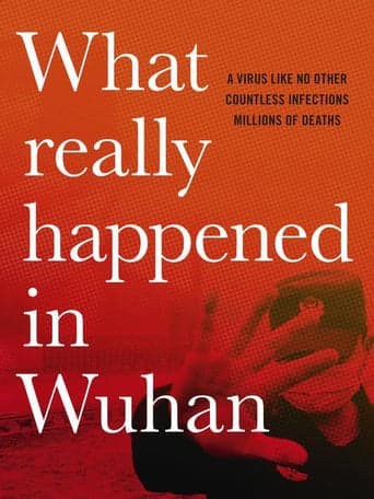 What Really Happened in Wuhan poster - Find streaming availability