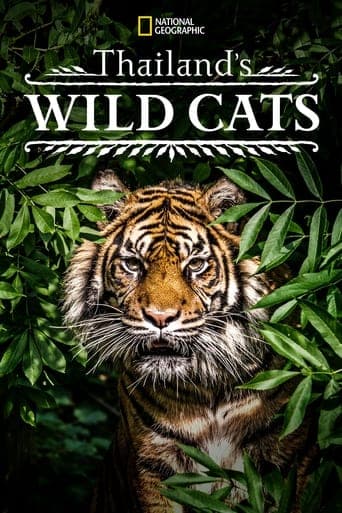 Thailand's Wild Cats poster - Find streaming availability