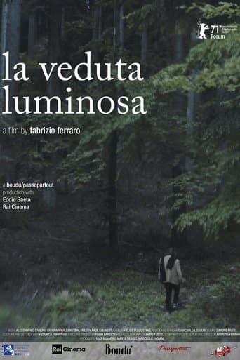 The Luminous View poster - Find streaming availability