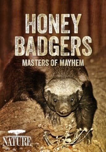 Honey Badgers: Masters of Mayhem poster - Find streaming availability