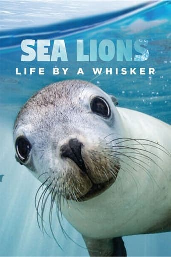 Sea Lions: Life By a Whisker poster - Find streaming availability