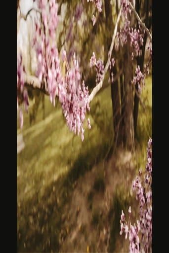 3/1 and 3/3 (Bountiful Gems) poster - Find streaming availability