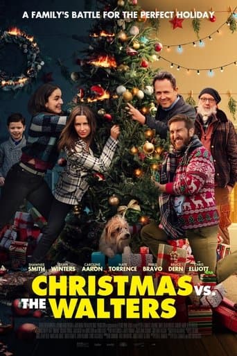 Christmas vs The Walters poster - Find streaming availability