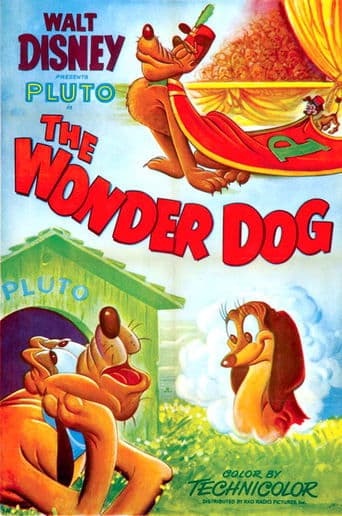 Wonder Dog poster - Find streaming availability