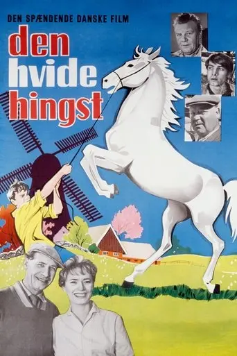 The Boy Who Loved Horses poster - Find streaming availability