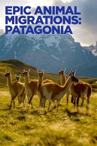 Epic Animal Migrations: Patagonia poster - Find streaming availability