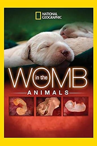 In The Womb: Animals poster - Find streaming availability