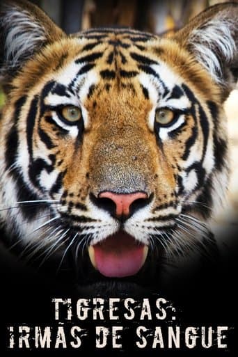 Tigress Blood poster - Find streaming availability