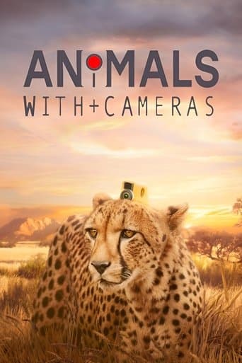 Animals with Cameras poster - Find streaming availability