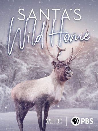 Santa's Wild Home poster - Find streaming availability