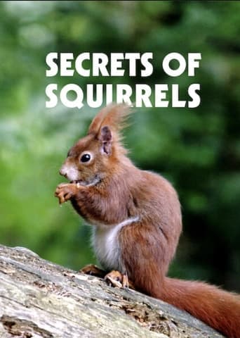 Secrets of Squirrels poster - Find streaming availability