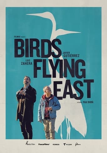 Birds Flying East poster - Find streaming availability