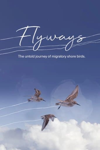 Flyways poster - Find streaming availability