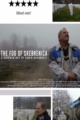 The Fog of Srebrenica poster - Find streaming availability