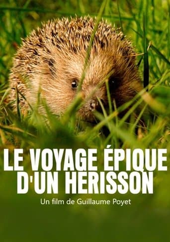 Le voyage épique d'un hérisson poster - Find streaming availability