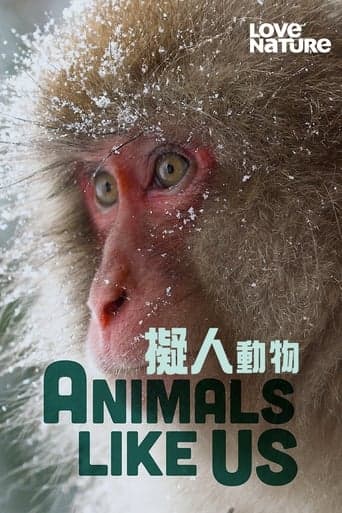 Animals Like Us poster - Find streaming availability