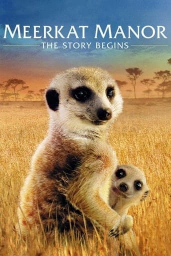 Meerkat Manor: The Story Begins poster - Find streaming availability