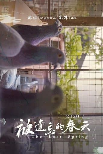 被遗忘的春天 poster - Find streaming availability