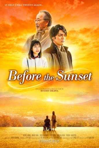 Before the Sunset poster - Find streaming availability