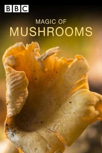 The Magic of Mushrooms poster - Find streaming availability