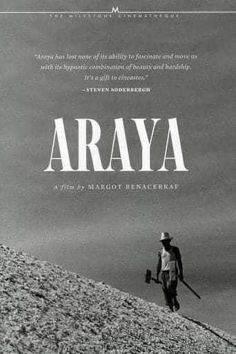 Araya poster - Find streaming availability