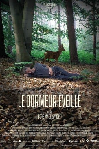 The Wakeful Sleeper poster - Find streaming availability
