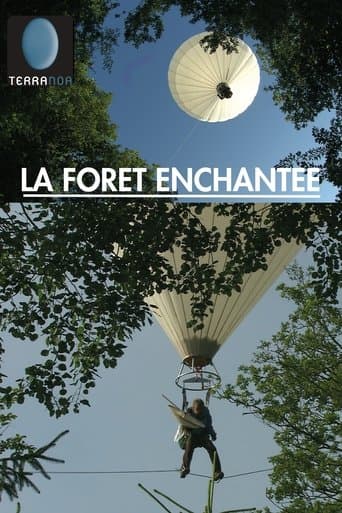 The Enchanted Forest poster - Find streaming availability