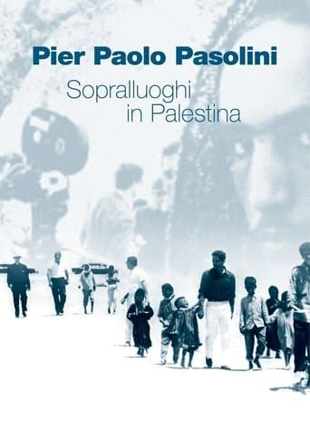 Scouting in Palestine poster - Find streaming availability