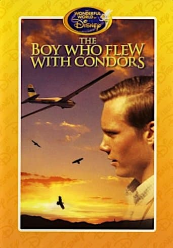 The Boy Who Flew with Condors poster - Find streaming availability